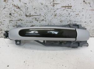 Door Handle PORSCHE CAYENNE (9PA)