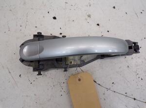 Door Handle VW GOLF PLUS (5M1, 521)