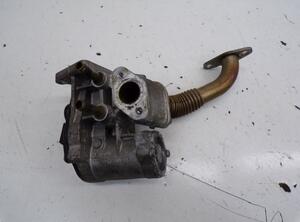 EGR Valve VW TOURAN (1T1, 1T2)