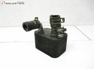 Radiator FORD Tourneo Connect (--)