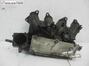 Intake Manifold SKODA Fabia II (542)