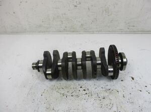 Crankshaft AUDI A4 (8E2), AUDI A4 (8EC, B7)