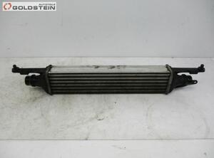 Intercooler OPEL Corsa D (S07)