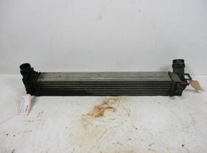 Intercooler RENAULT Megane III Schrägheck (B3, BZ0/1)