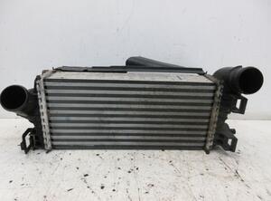 Intercooler FORD Focus III (--)