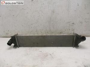 Intercooler FORD FOCUS II Turnier (DA_, FFS, DS)