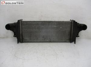 Intercooler MERCEDES-BENZ R-CLASS (W251, V251)