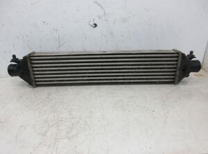 Intercooler FIAT DOBLO Cargo (263_)