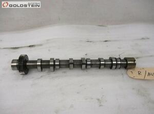 Camshaft AUDI A6 Allroad (4FH, C6), AUDI A6 Avant (4F5, C6)