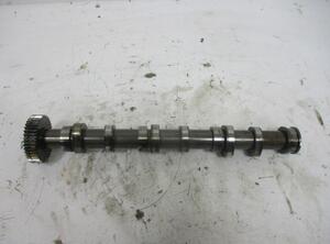 Camshaft AUDI A6 (4F2, C6)