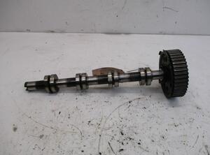 Camshaft VW Passat (3C2)