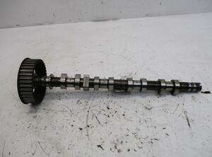 Camshaft RENAULT Clio III (BR0/1, CR0/1)