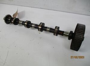 Camshaft AUDI A6 (4B2, C5)