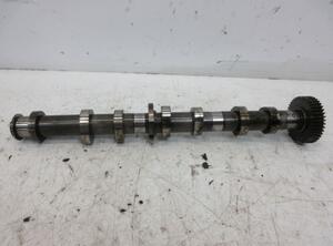 Camshaft AUDI A8 (4H2, 4H8, 4HC, 4HL)