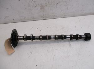 Camshaft FIAT Ducato Kasten (250, 290)