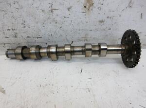 Camshaft VW Polo (6C1, 6R1)