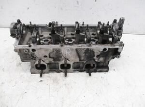 Cylinder Head AUDI A4 Avant (8E5, B6), AUDI A4 Avant (8ED, B7)