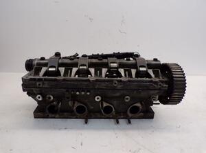 Cylinder Head VW PASSAT (3C2)