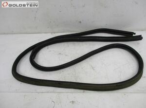 Boot / Trunk Lid Seal DACIA Sandero (--)