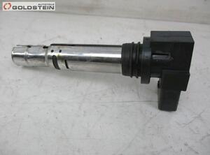 Ignition Coil VW Golf V (1K1)