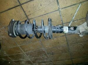 Suspension Strut SKODA Octavia II Combi (1Z5)