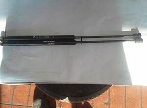 Gas Spring FIAT Bravo II (198)