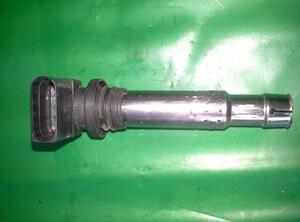 Ignition Coil SEAT Ibiza IV (6J5, 6P1), SEAT Ibiza IV Sportcoupe (6J1, 6P5)