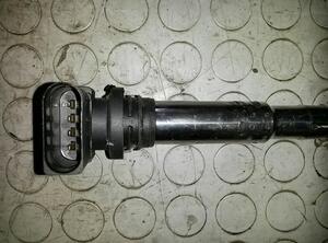 Ignition Coil VW Polo (9N)