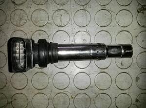 Ignition Coil VW Polo (9N)