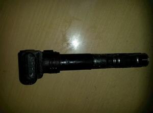 Ignition Coil VW Polo (9N)