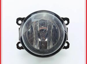 Mistlamp RENAULT Megane II (BM0/1, CM0/1)