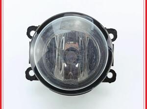 Fog Light RENAULT Megane II (BM0/1, CM0/1)