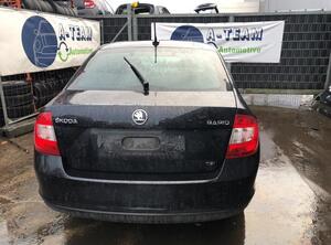 As SKODA RAPID (NH3, NK3, NK6), SKODA RAPID Spaceback (NH1)