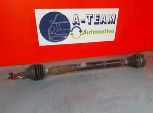 Drive Shaft VW EOS (1F7, 1F8)