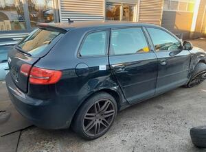 Remklauw AUDI A3 (8P1), AUDI A3 Sportback (8PA)