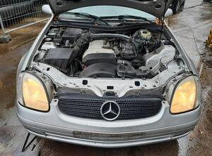 Koplamp MERCEDES-BENZ SLK (R170)