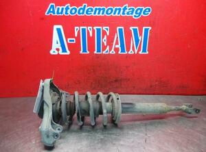 Shock Absorber AUDI A4 (8E2), AUDI A4 (8EC, B7)