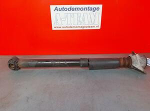 Shock Absorber AUDI A5 Sportback (8TA), AUDI A4 Allroad (8KH, B8)