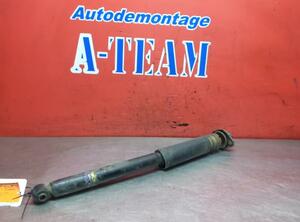 Shock Absorber BMW 3er Touring (E91)