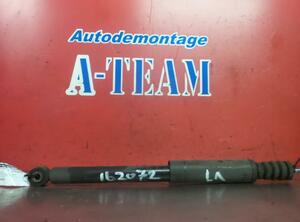 Shock Absorber RENAULT Clio III (BR0/1, CR0/1)