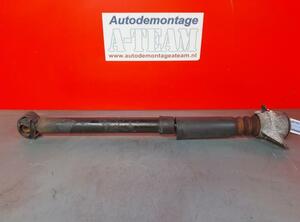 Schokdemper AUDI A5 Sportback (8TA), AUDI A4 Allroad (8KH, B8)