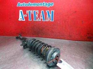 Shock Absorber BMW 5er (F10)