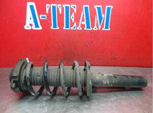 Shock Absorber SEAT Altea (5P1), SEAT Altea XL (5P5, 5P8), SEAT Toledo III (5P2)