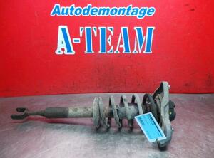 Shock Absorber AUDI A4 (8E2), AUDI A4 (8EC, B7)