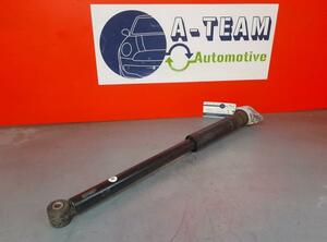 Shock Absorber FORD Fiesta VI (CB1, CCN)