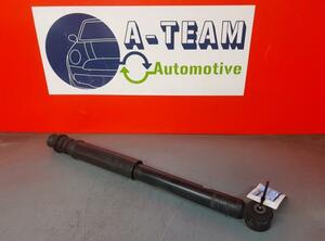 Shock Absorber RENAULT Twingo II (CN0)