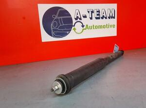 Shock Absorber PEUGEOT 107 (PM, PN)