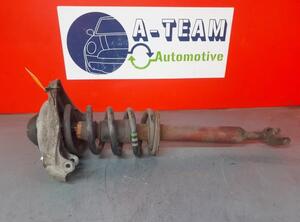 Shock Absorber AUDI A6 Avant (4F5, C6), AUDI A6 Allroad (4FH, C6)