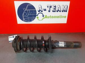 Shock Absorber SEAT Altea (5P1), SEAT Altea XL (5P5, 5P8), SEAT Toledo III (5P2)