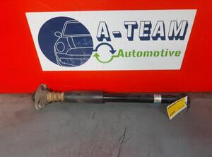 Shock Absorber SEAT Leon (1M1)